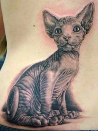 Animal4