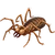 Item sunspider 01.png