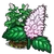 Peppermint-icon.png