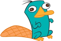 Perry.png