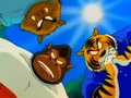 BoarGorillaTiger