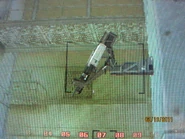 IMG 0201