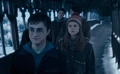 Ginny's shock.jpg