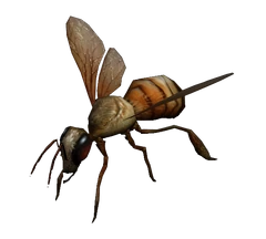 Bee