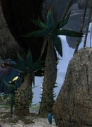 Dapophet2