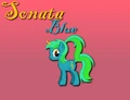 Sonatablue2.png