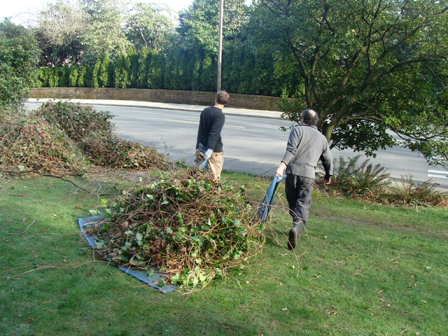 File:101.JPG