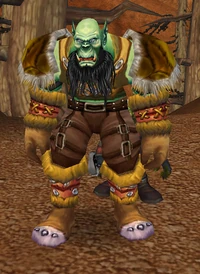 Image of Flok