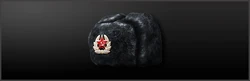 Main shapka
