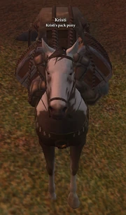 pack pony