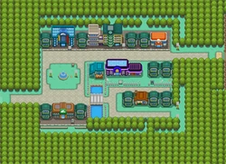 Celadon City HGSS