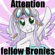 Happyface attention fellow bronies