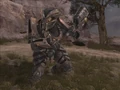 Reach 14298276 Medium