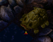 Rockwhale1