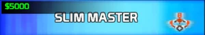 Slim Master