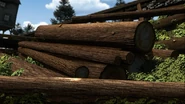 JumpingJobiWood!19