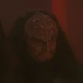 T'vis.jpg