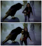 Damoncrow