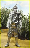 Tin Man