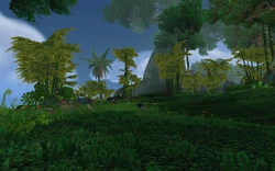 Savage Glen