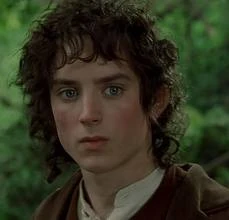 Frodo2