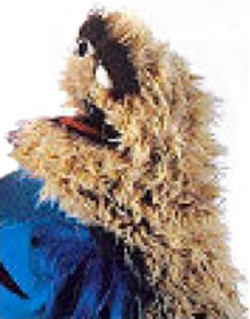Kewalkhadoosa