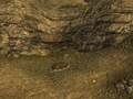Chances grave.jpg