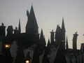 DSC02848.jpg