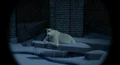 Polar Bear 2.jpg