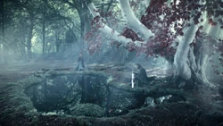 Winterfell Godswood