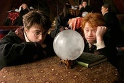P3 Harry Potter y Ron Weasley - Adivinacion