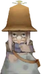 DSUnei