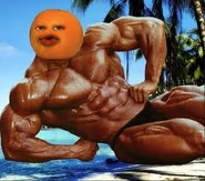 Muscles