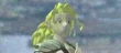 Rosa-ffiv-chron