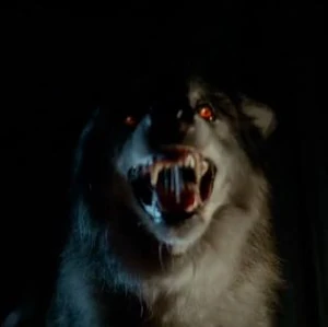 TrueBloodWere