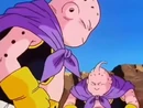 TwoFatBuus