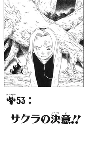 Chapter 53 Cover