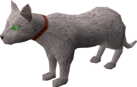 Red Axe Cat