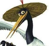 Grulla