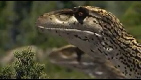Utahraptor - Walking With Wikis - the free Walking with ... Walking With Dinosaurs Edmontonia Utahraptor - Walking With Wikis - the free Walking with ... Walking With Dinosaurs Edmontonia