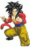 144px-Ss4Goku2