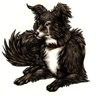 Mutt default.PNG