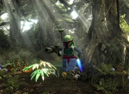 Boba bg