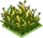 Corn-icon