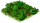 Watermelon-icon