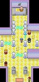 Mauville Gym Emerald