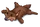 Coyote Rug-icon