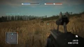 BFBC NS2000 AIMED