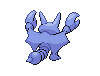 Gligar espalda G5 variocolor hembra