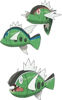 Basculin
